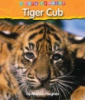 Tiger_cub
